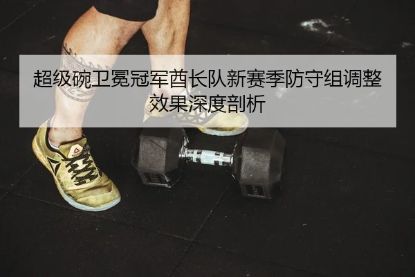 超级碗卫冕冠军酋长队新赛季防守组调整效果深度剖析